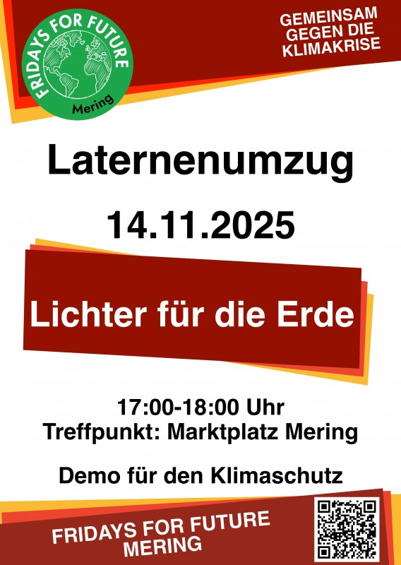 Lichter für die Erde * Laternenumzug * Fridays for Future